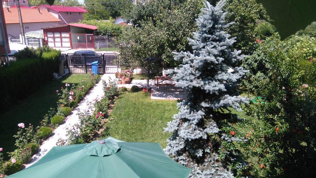 Zoi Residence Костинещи Екстериор снимка